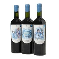 ESTUCHE DE VINO PASION POR 2u.